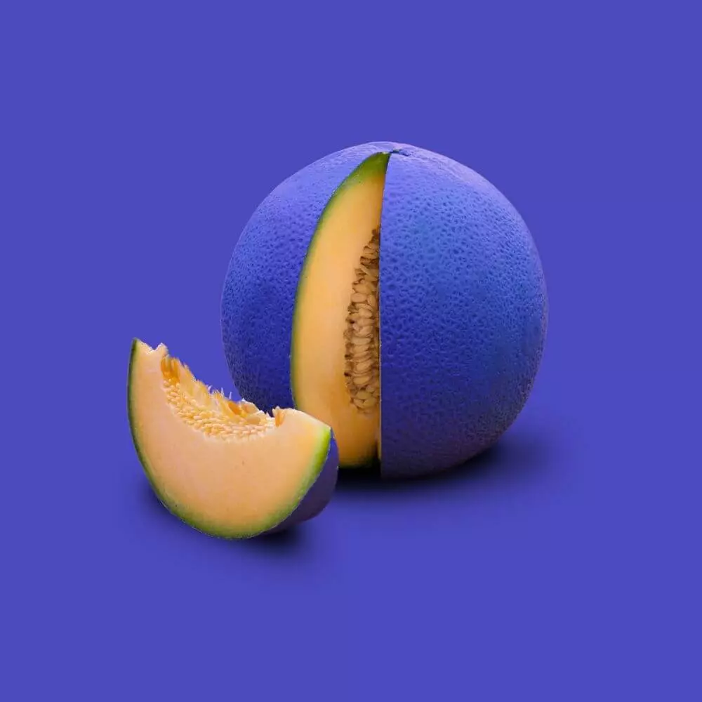 Diseño web creativo para mi empresa | Rosman Barcelona